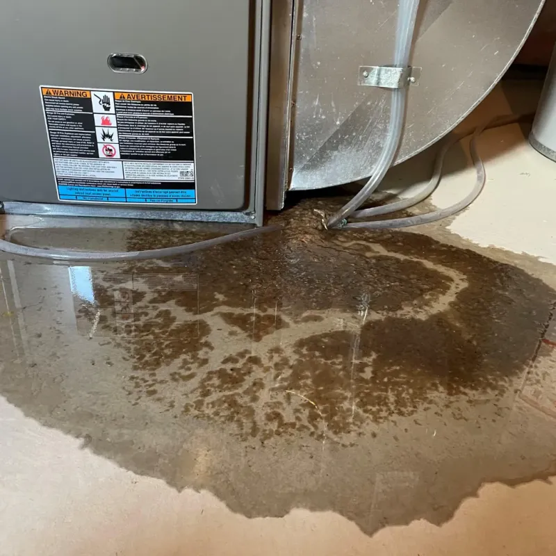 Appliance Leak Cleanup in Kings Grant, NC